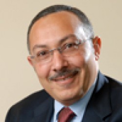 Amr M. El-Kadi