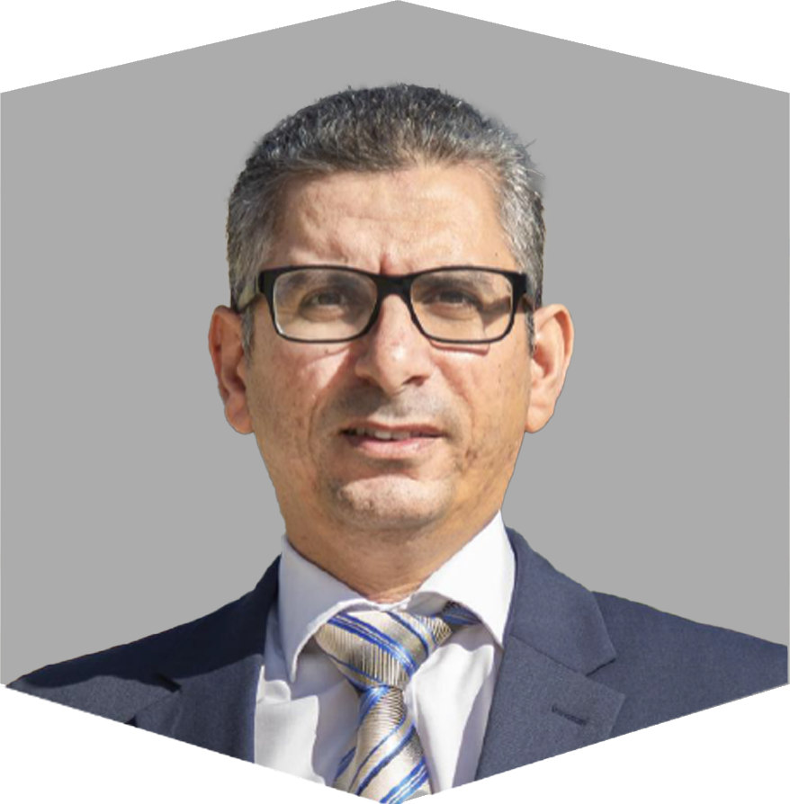 Wael Abdelhak